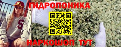 сатива Пугачёв