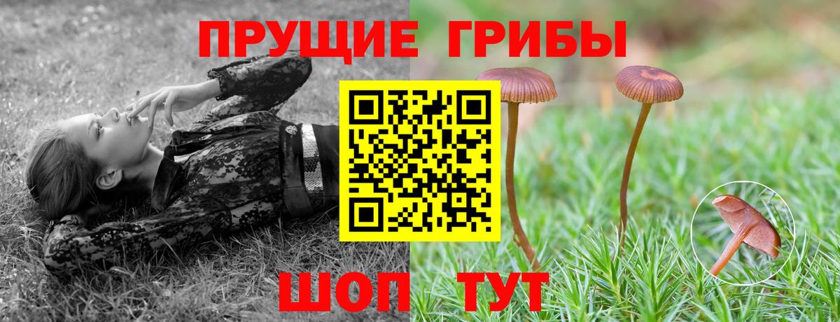 Реж  закладка  Вход с VPN  Псилоцибиновые грибы Magic Shrooms 